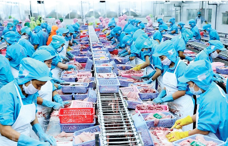 Nỗ lực duy trì đà tăng trưởng xuất khẩu nông, lâm, thủy sản