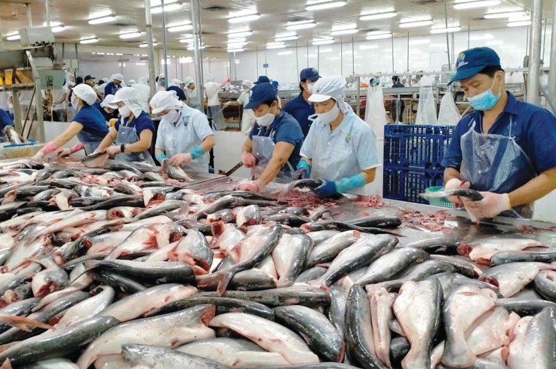 Xuất khẩu thuỷ sản sang Mỹ suy giảm mạnh trong tháng 6/2025