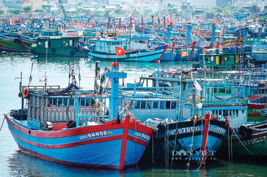 Gi&aacute; dầu tăng mạnh, nhiều ngư d&acirc;n &ldquo;bỏ biển&rdquo;...