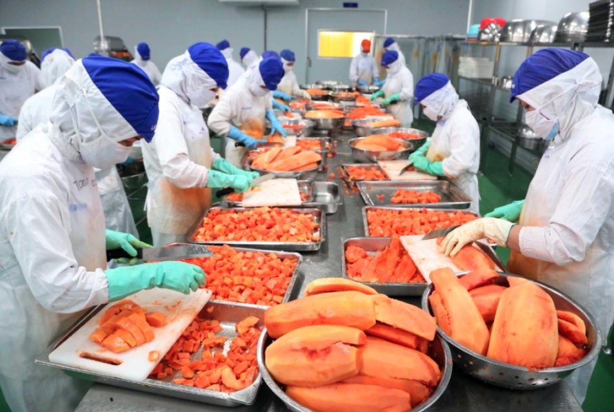 Xuất khẩu tăng gần 73%, ngành rau quả bứt tốc ngay từ...