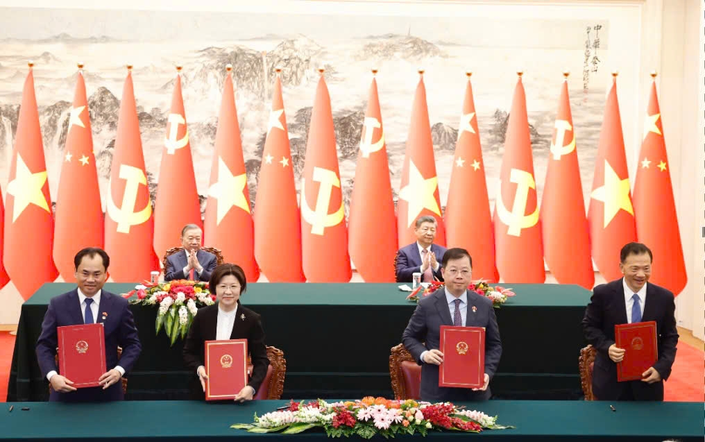 Mở cửa thị trường Trung Quốc cho bưởi và chanh Việt Nam