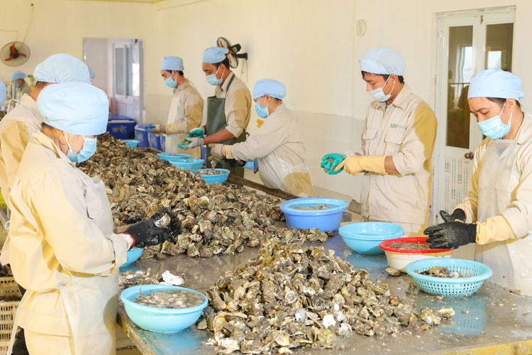 Nhật Bản thiếu hụt nguồn cung h&agrave;u: Cơ hội xuất khẩu cho doanh nghiệp Việt Nam