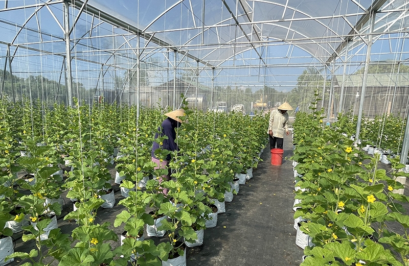 Quy mô gói tín dụng nông, lâm, thuỷ sản điều chỉnh lên mức 185.000 tỷ đồng