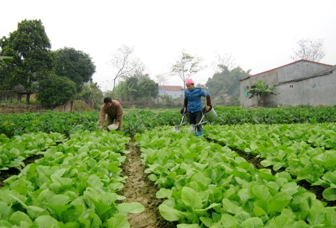 Mưa lũ kéo dài, giá thực phẩm đẩy CPI tháng 10 tăng nhẹ
