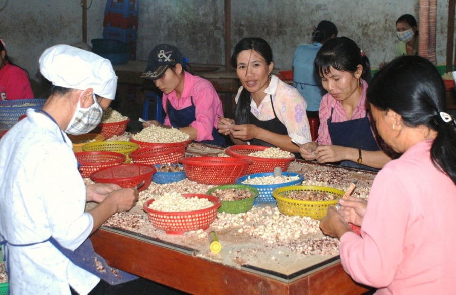 Xuất khẩu điều kỳ vọng cán mốc kỷ lục 5 tỷ USD