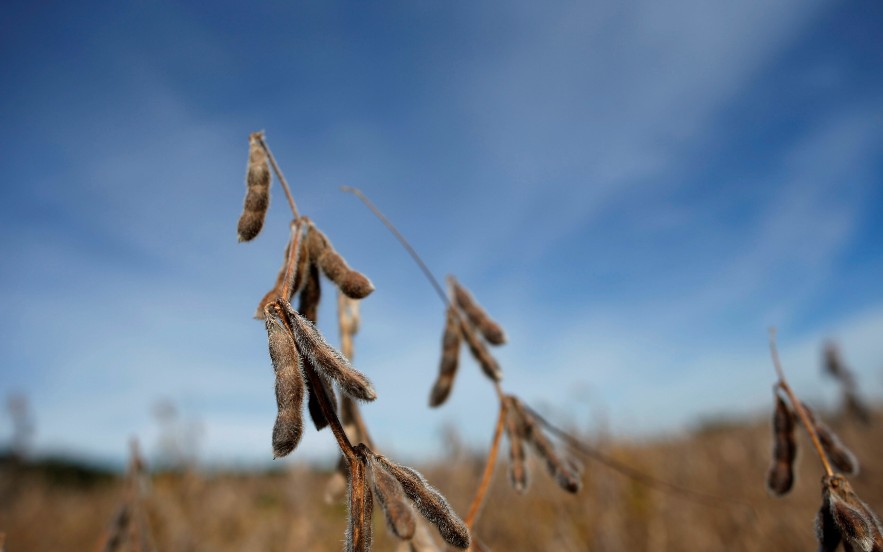 “Tổng thống Trump tính hỗ trợ 10 tỷ USD cho nông dân Mỹ”