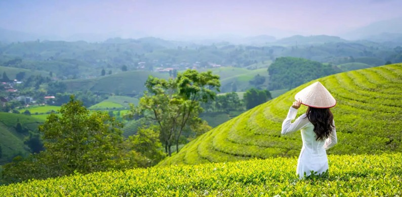 Du lịch Việt Nam khởi sắc mạnh mẽ trong 7 tháng đầu năm