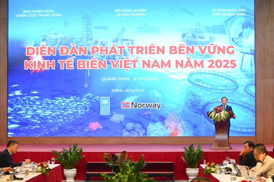 Định hình mô hình phát triển mới cho kinh tế...