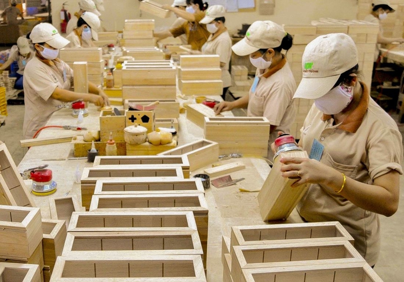 Gần 100 doanh nghiệp xuất khẩu gỗ dán cứng sang Hoa Kỳ bị điều tra kép