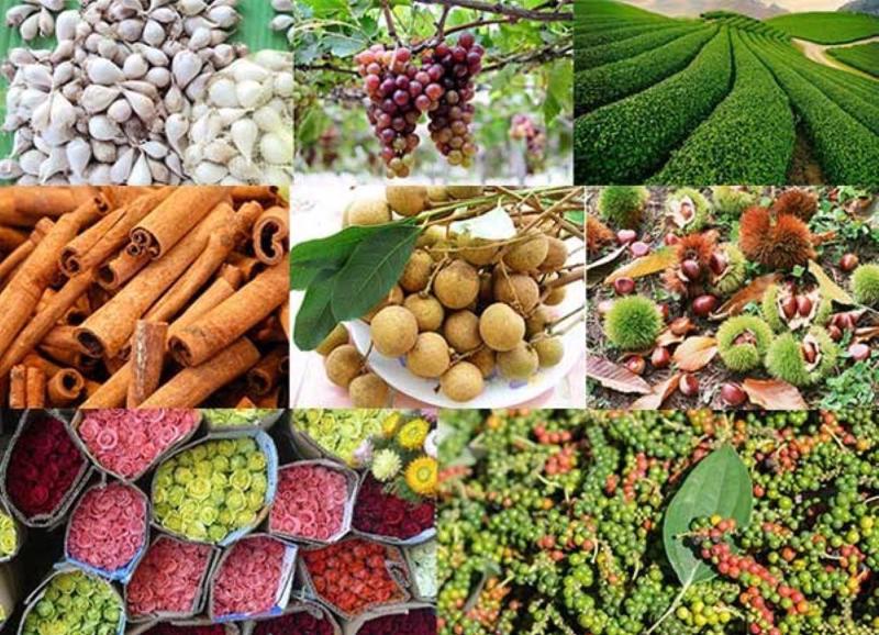 Xuất khẩu nông, lâm, thủy sản 5 tháng đầu năm: Hoa Kỳ vẫn là thị trường lớn nhất của Việt Nam