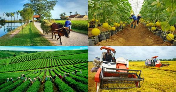 Tiến hành điều tra nông thôn, nông nghiệp năm 2025 từ ngày 1/7