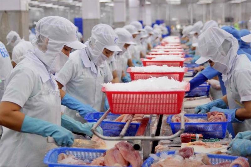 Việt Nam lọt top 4 đối tác xuất khẩu thủy sản lớn nhất vào Singapore