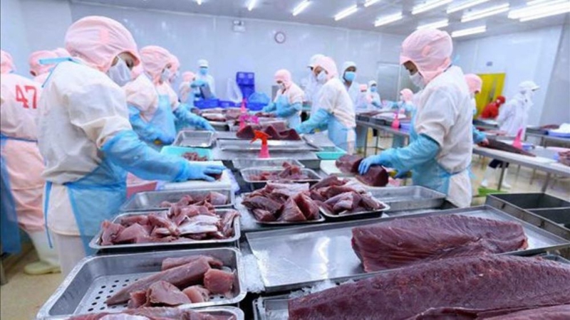 “Chạy đua” với thuế đối ứng, xuất khẩu thủy sản tăng hơn 17%