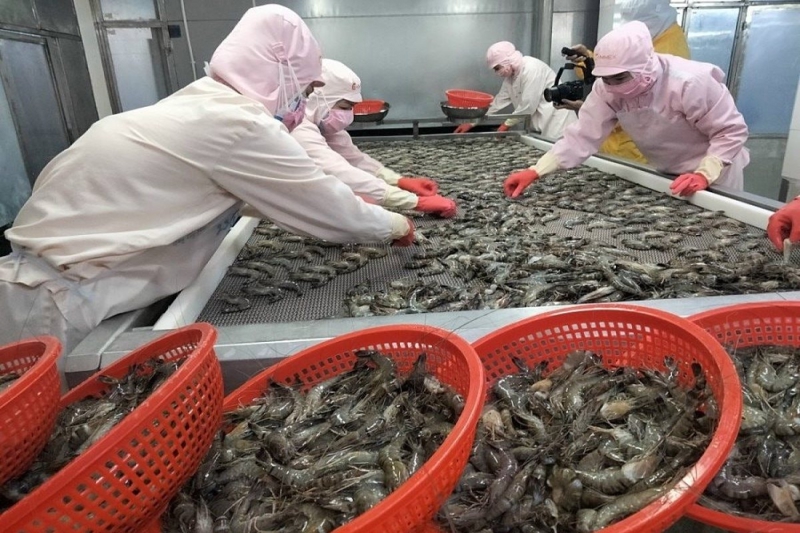 Con tôm trước dòng thuế quan tại Mỹ