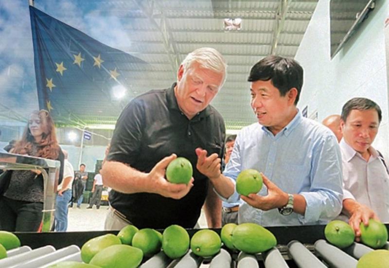 “3 gọng kìm” buộc doanh nghiệp xuất khẩu nông sản, thực phẩm sang EU phải vượt qua