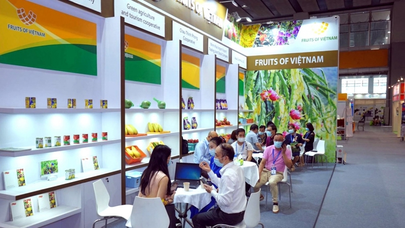 Thúc đẩy xúc tiến thương mại toàn diện trong và ngoài nước